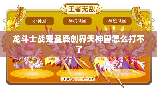 龙斗士战宠培养与实战攻略解析