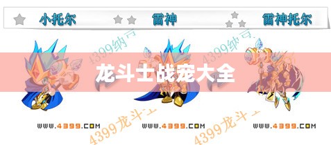 龙斗士战宠培养与实战攻略解析