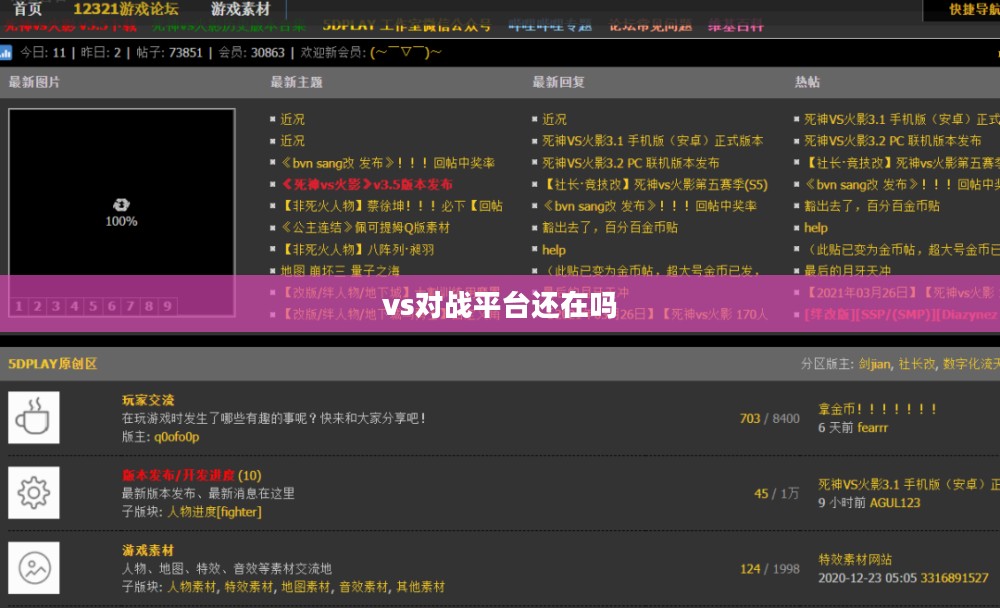 vs对战平台：功能、优势与应用解析