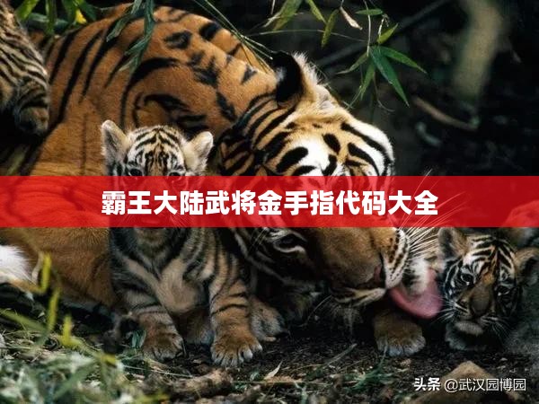 《霸王大陆》武将选择与培养攻略解析