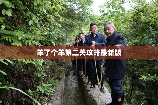 羊了个羊第二关攻略，轻松掌握通关技巧