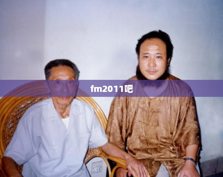 足球经理2011补丁更新全面解析，提升游戏体验