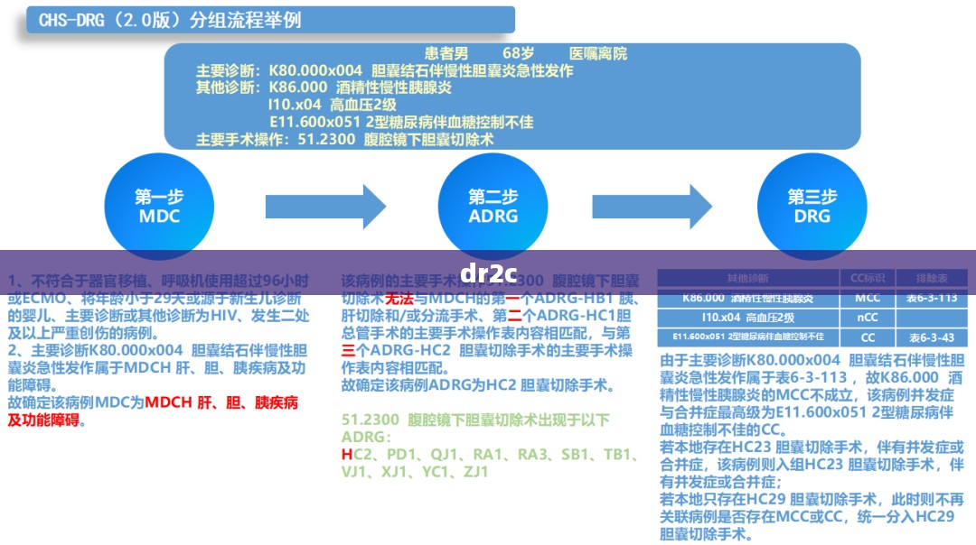 健康饮食习惯，均衡营养的生活方式解析