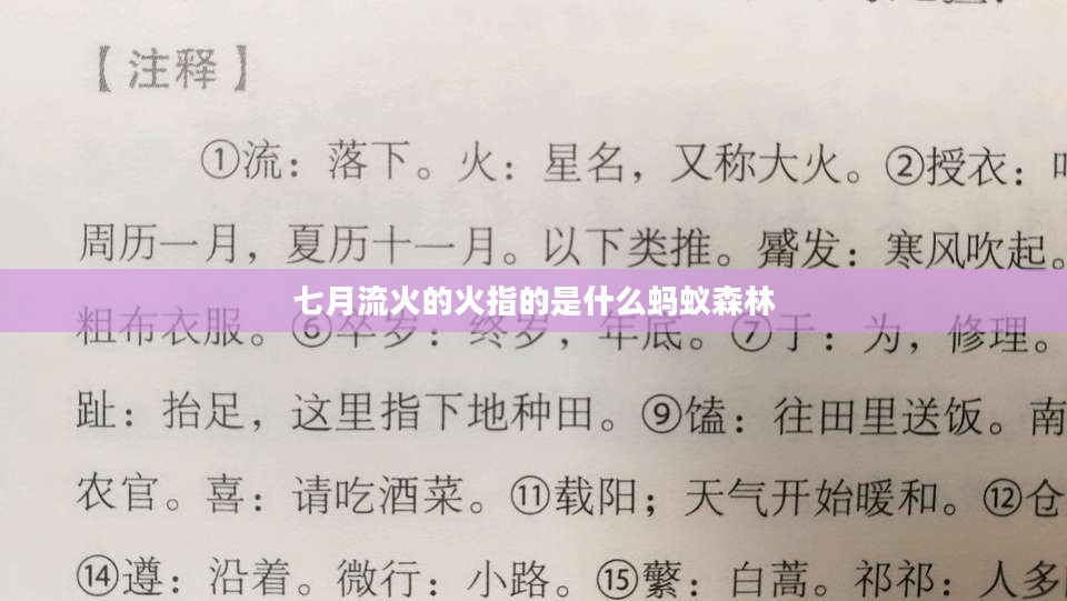 七月流火天气转变解析：蚂蚁庄园的自然观察