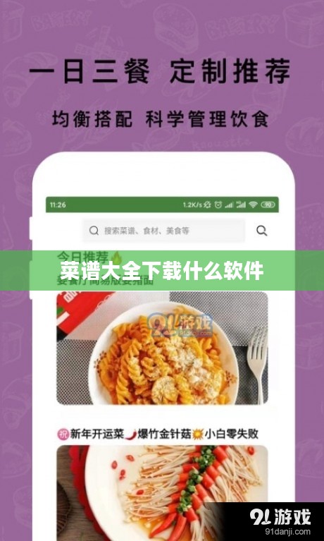 菜谱大全下载与使用攻略，美食烹饪不再难