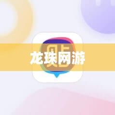 龙珠网：功能特点与互联网地位分析
