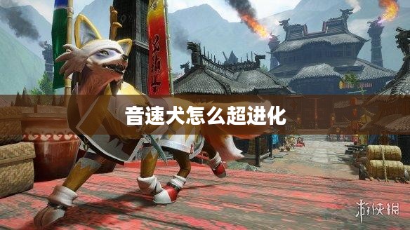音速犬：科学原理与应用解析