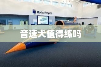 音速犬：科学原理与应用解析