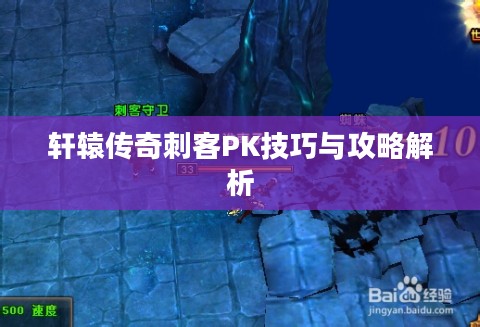 轩辕传奇刺客PK技巧与攻略解析