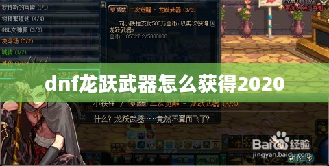 DNF龙跃武器外观设计与玩家体验分析