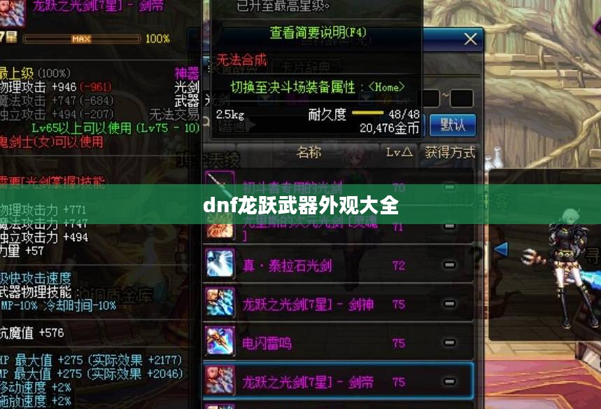 DNF龙跃武器外观设计与玩家体验分析
