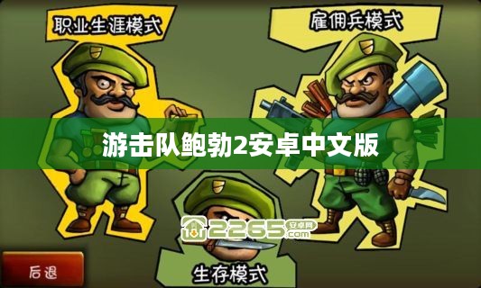 游击队鲍勃：SEO优化深度解析与实践指南