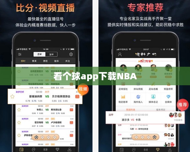 看个球App下载与使用体验全解析