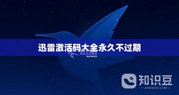 迅雷激活码获取与使用技巧全解析