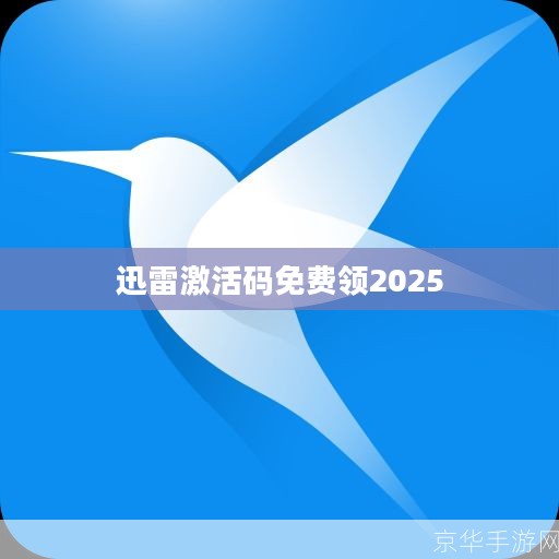 迅雷激活码获取与使用技巧全解析