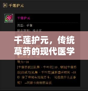 千莲护元，传统草药的现代医学应用解析
