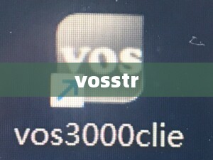 玩转VOS模式，深入了解客户需求实现产品成功
