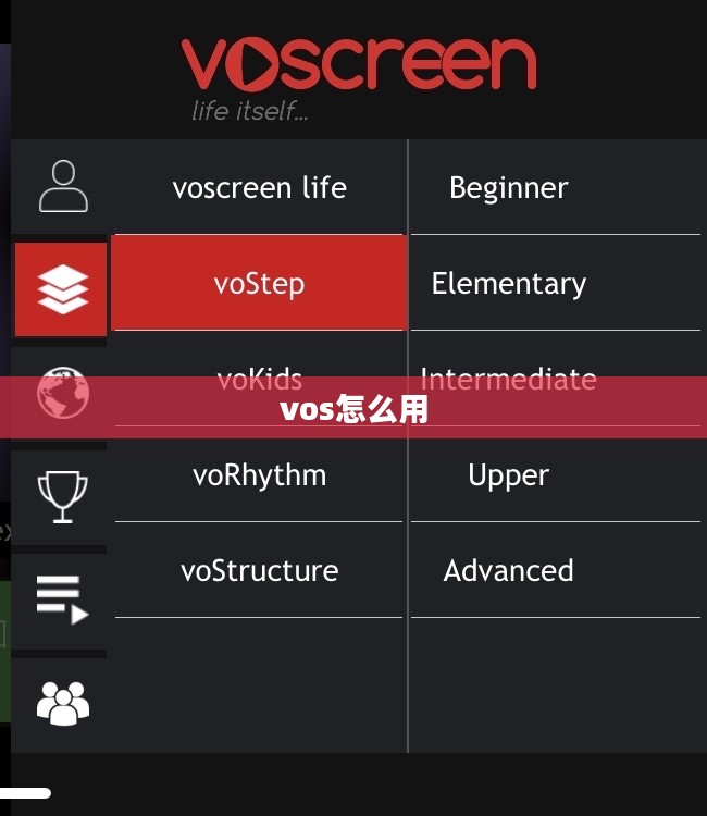 玩转VOS模式，深入了解客户需求实现产品成功