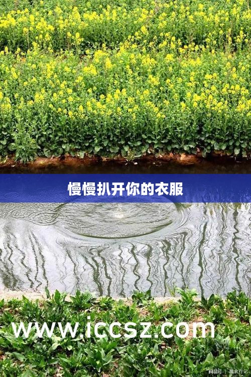 全面解析“慢慢扒”关键词在SEO中的应用策略