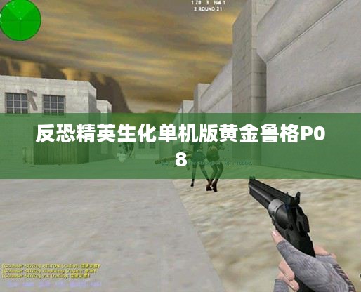 反恐精英生化单机版：游戏特色与优化策略解析