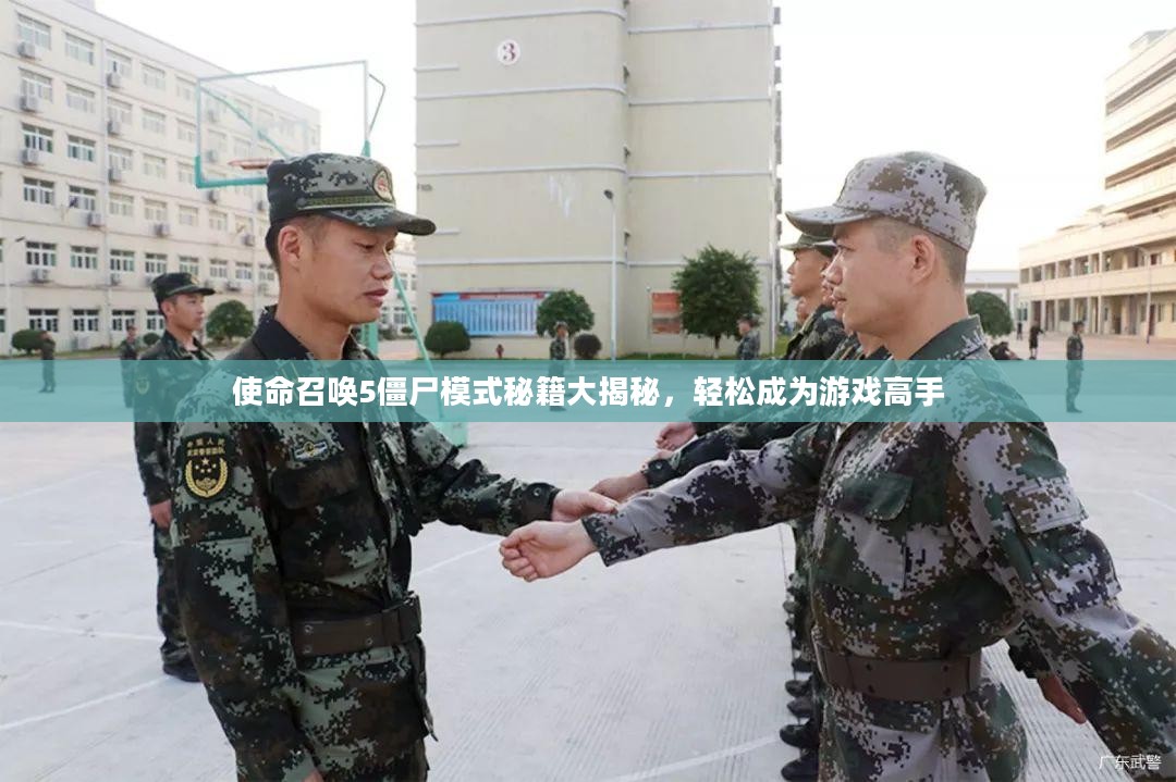 使命召唤5僵尸模式秘籍大揭秘，轻松成为游戏高手