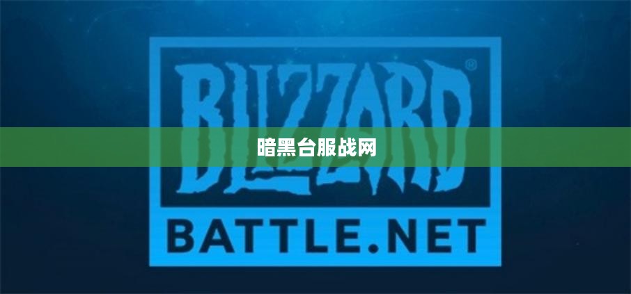 台服战网使用指南：注册登录与游戏攻略详述