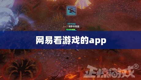 网易看游戏，打造全新的游戏互动体验