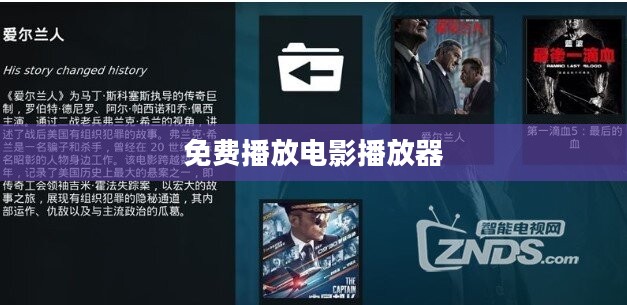 大片免费播放器优势与选择解析