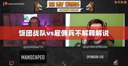 饭团战队策略与表现深度解析