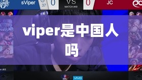 探究Viper身份与国籍：揭开神秘面纱