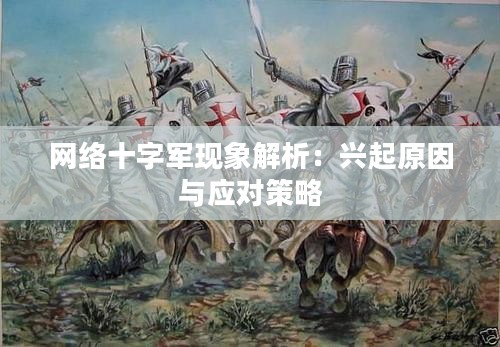 网络十字军现象解析：兴起原因与应对策略