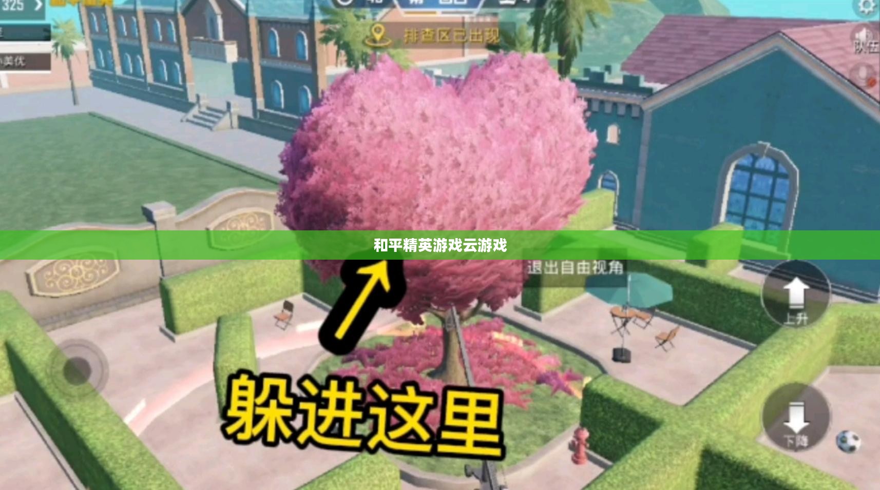 和平精英游戏战术策略与竞技提升解析