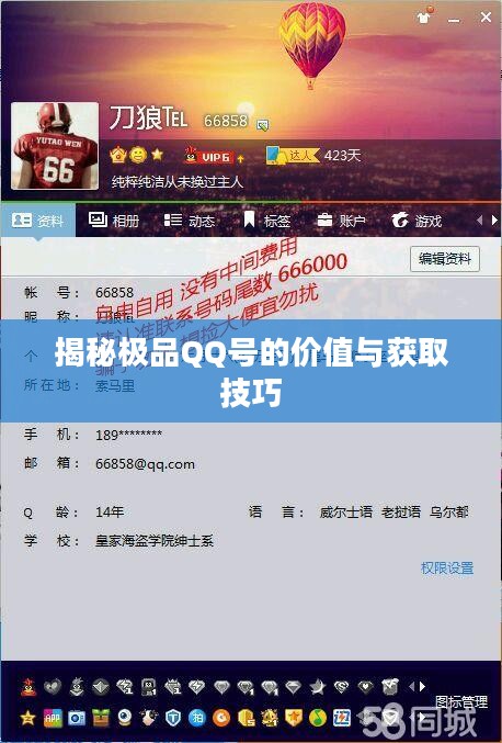 揭秘极品QQ号的价值与获取技巧