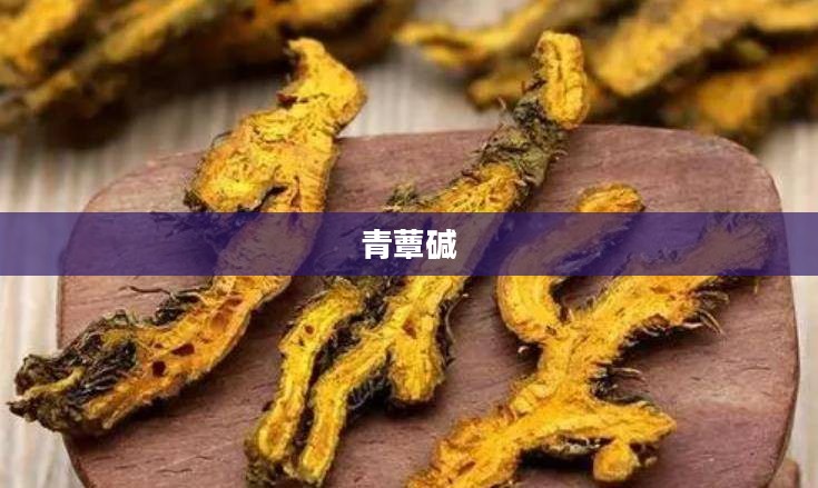 青蕈的营养价值与种植技巧解析
