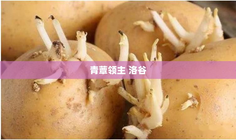 青蕈的营养价值与种植技巧解析