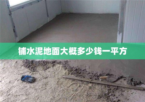 PSN数字媒体服务深度解析：优势、使用技巧与用户体验优化