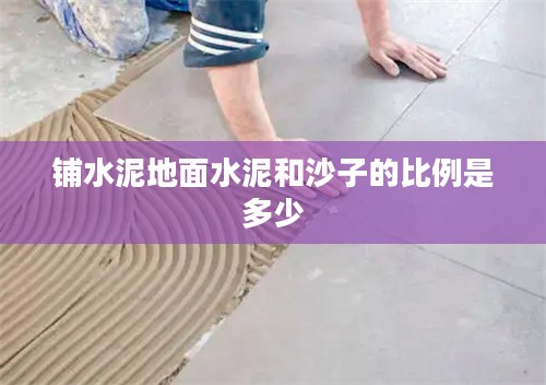 PSN数字媒体服务深度解析：优势、使用技巧与用户体验优化