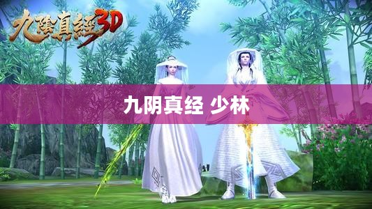 九阴真经与少林武学的融合与威力分析