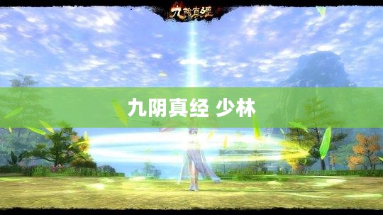 九阴真经与少林武学的融合与威力分析