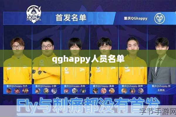 QGhappy名单解析：战队成员及表现分析