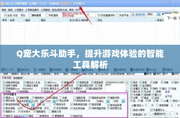 Q宠大乐斗助手，提升游戏体验的智能工具解析