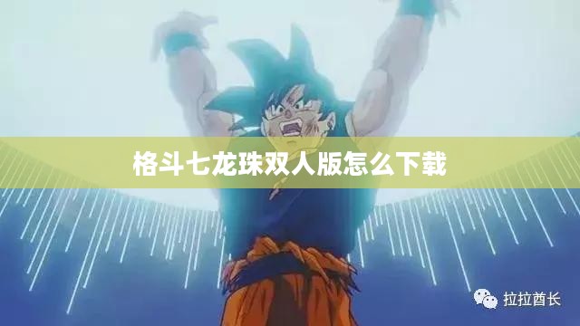 《格斗七龙珠双人版》：双人竞技的巅峰对决