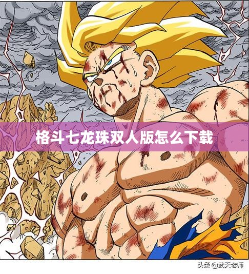 《格斗七龙珠双人版》：双人竞技的巅峰对决