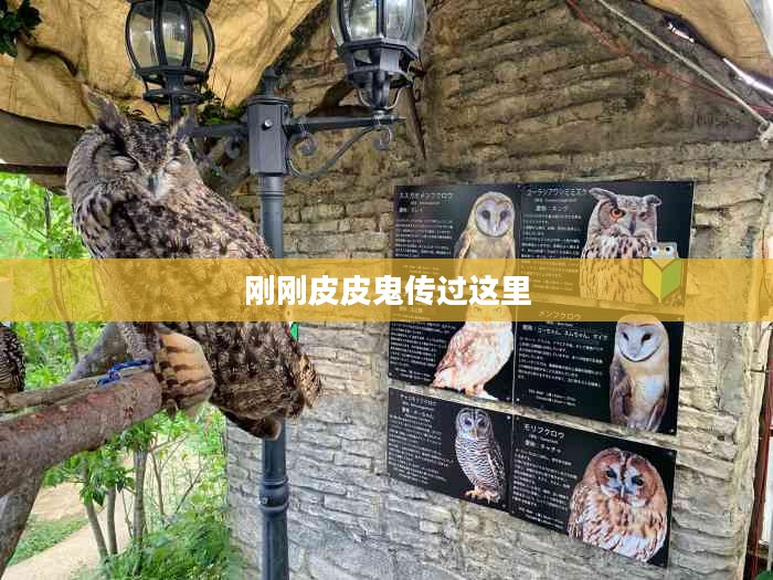揭秘刚刚皮皮鬼现身的神秘现象与历史渊源
