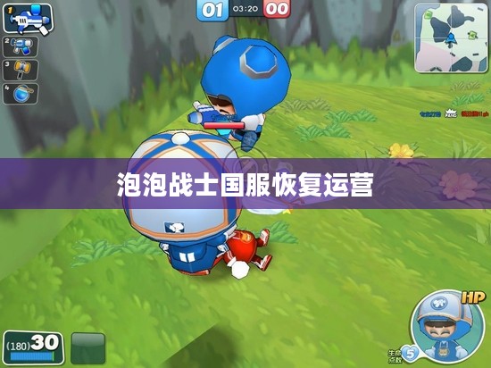 泡泡斗士游戏策略与角色设定深度解析
