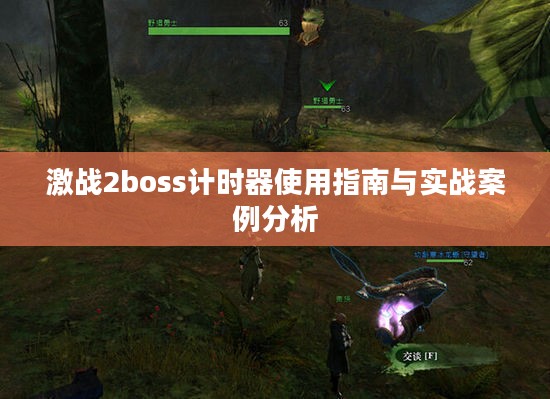 激战2boss计时器使用指南与实战案例分析