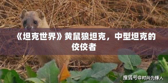 《坦克世界》黄鼠狼坦克，中型坦克的佼佼者