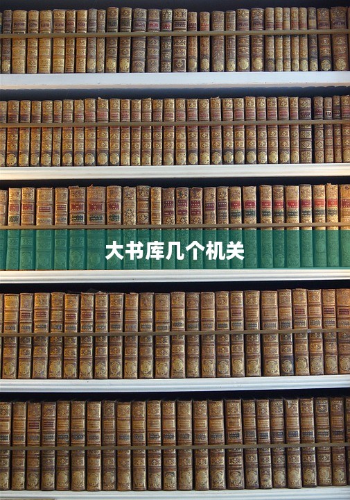构建高效大书库，优化电子资源管理与访问体验