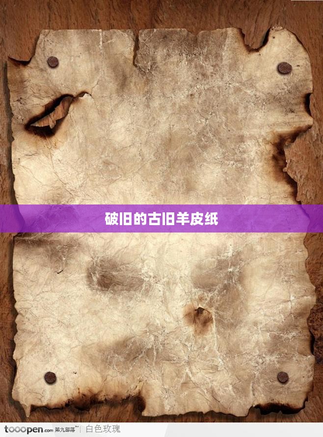 古旧羊皮纸的价值与用途探究