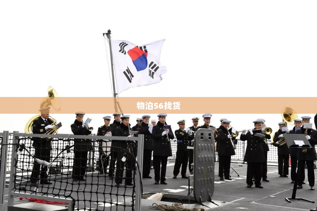 物泊56智能物流平台特性与应用解析
